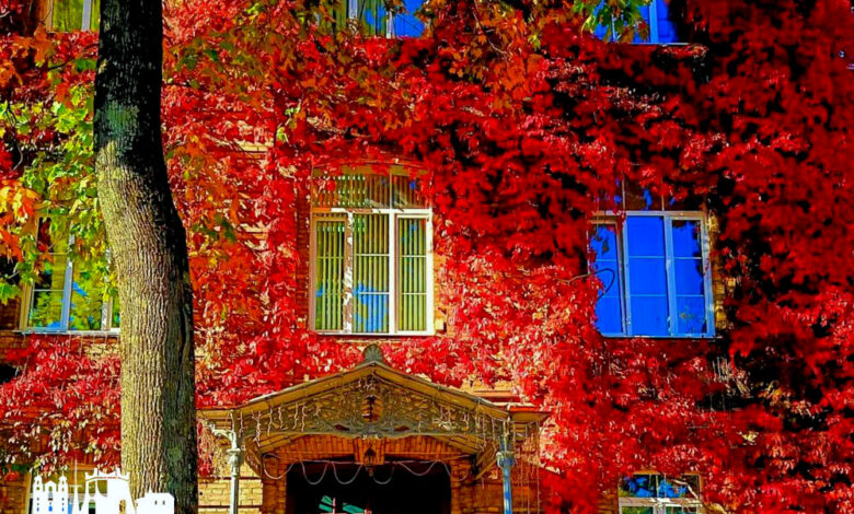 В Гродно вновь появилась живописная