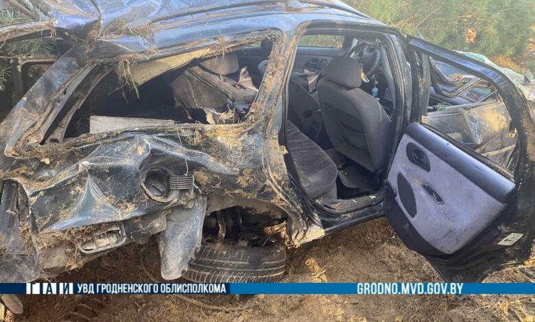 Недалеко от Мостов легковушка влетела в дерево. Пострадали два пассажира