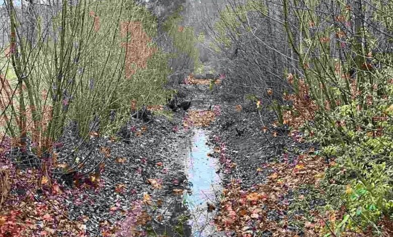 Под Лидой в канаве глубиной полметра утонул мужчина