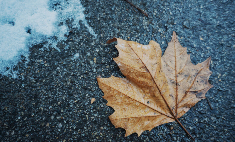 7 дней до зимы