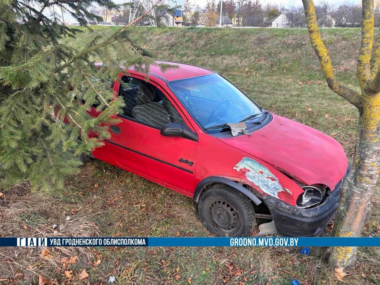 В Скиделе водитель пострадала в аварии с наездом на дерево