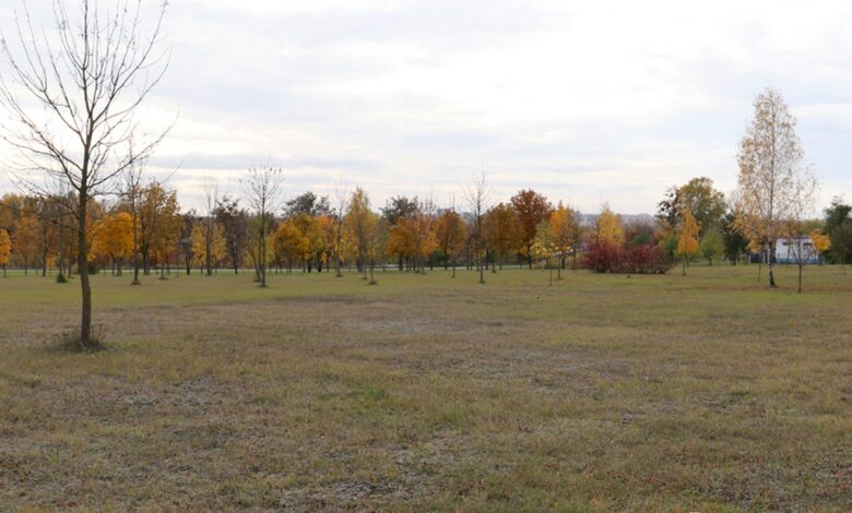 В Гродно хотят построить