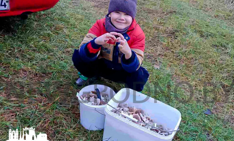 На пороге зимы гродненские грибники