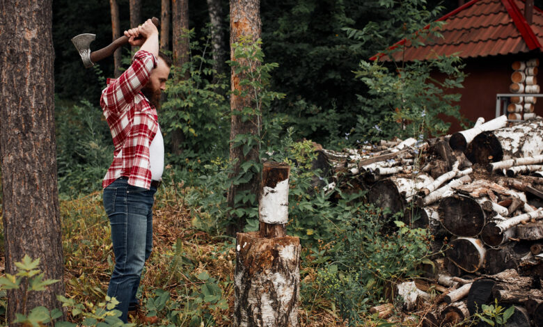 Как не попасть на штраф за самостоятельную заготовку древесины?