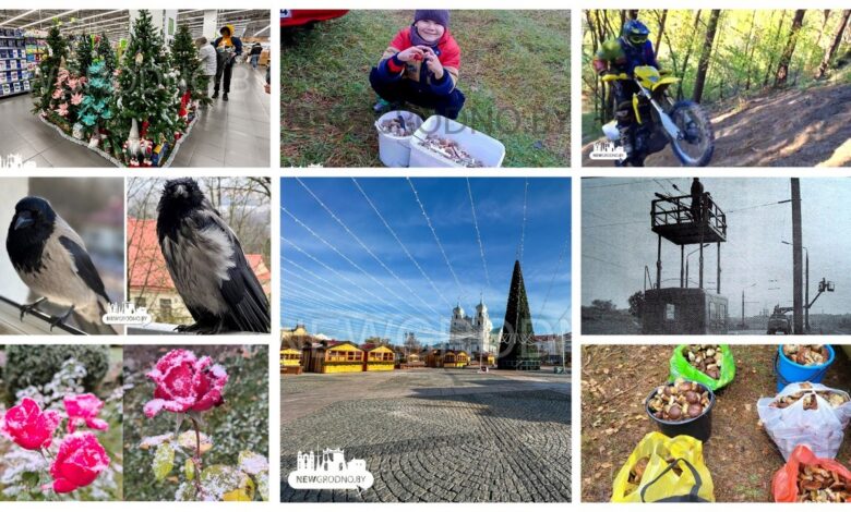 Чем для гродненцев запомнился ноябрь