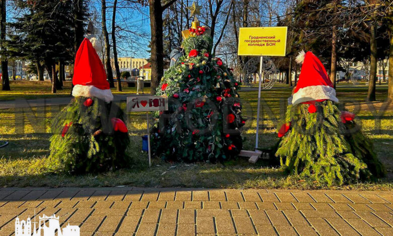В Гродно появилась аллея дизайнерских елок
