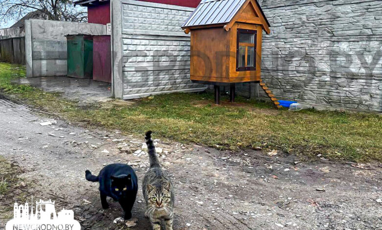 Под Гродно построили резиденцию для хвостатых