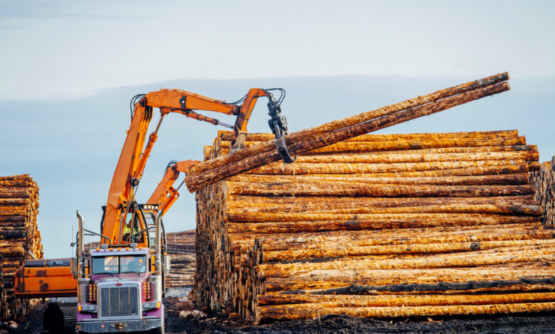 От Китая до Ирака: Гродненские