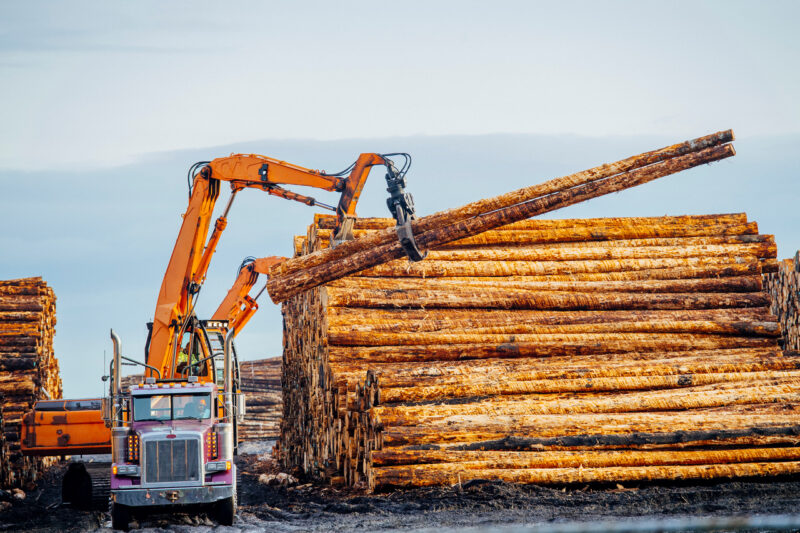 От Китая до Ирака: Гродненские