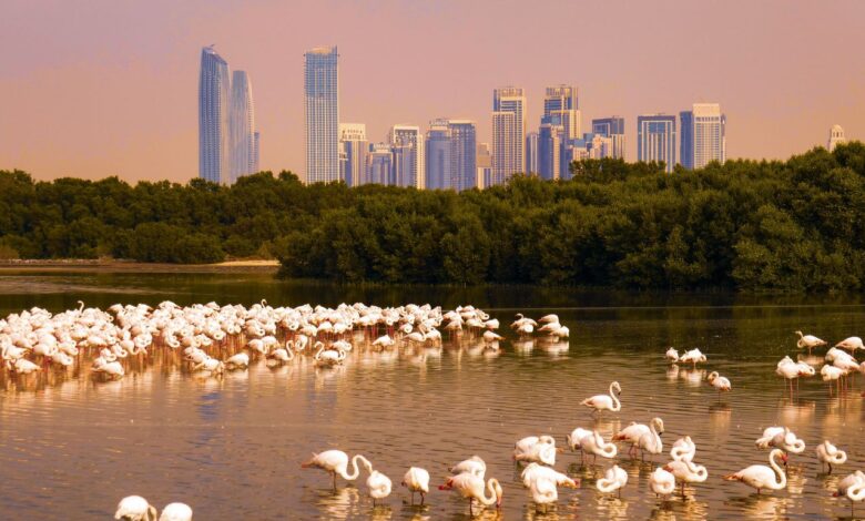 Рас-эль-Хайму