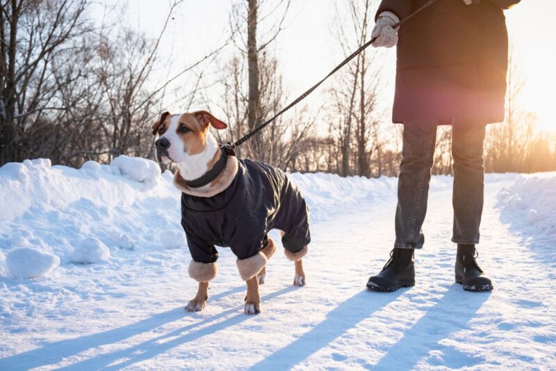 В милиции Гродно