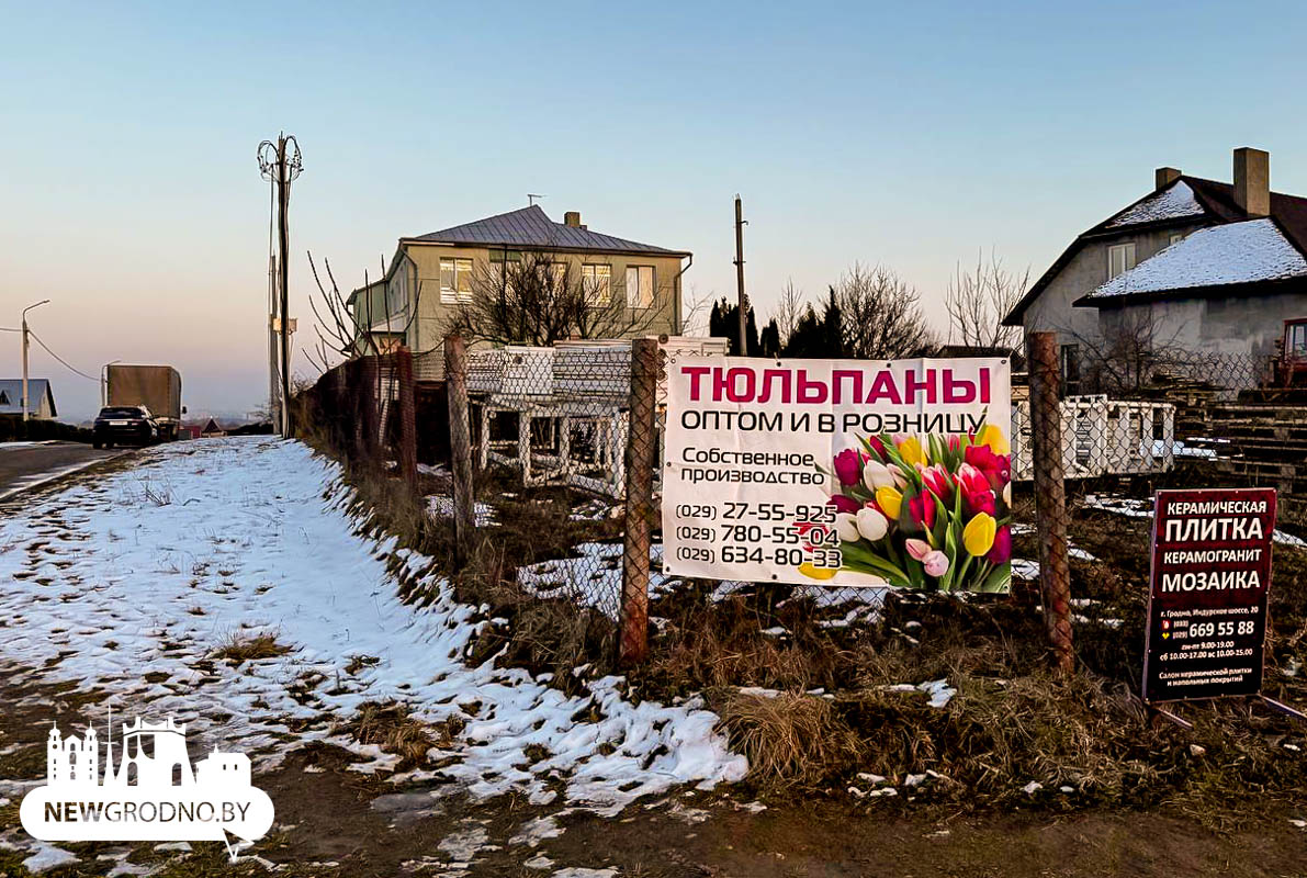 Гродненцы прямо в доме вырастили