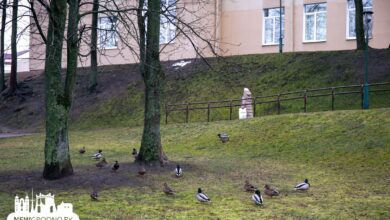 синоптик Рябов