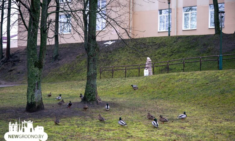 синоптик Рябов