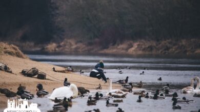 Как Гродно встретил весну