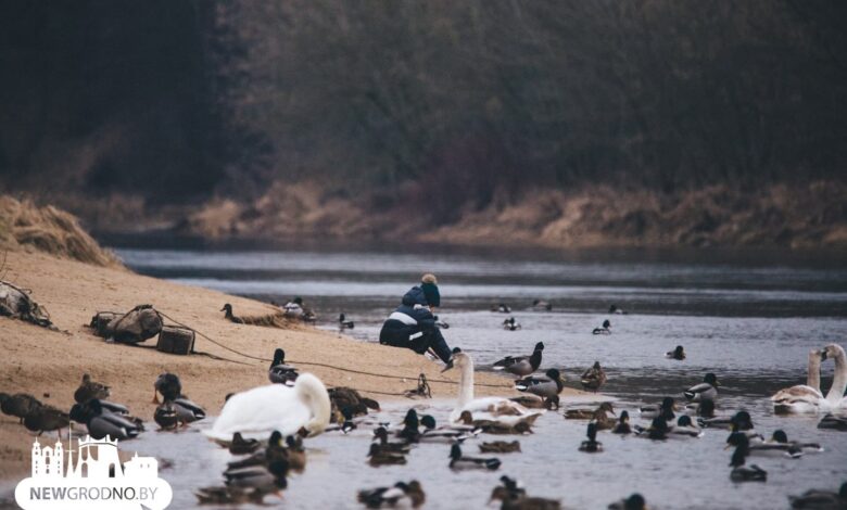 Как Гродно встретил весну