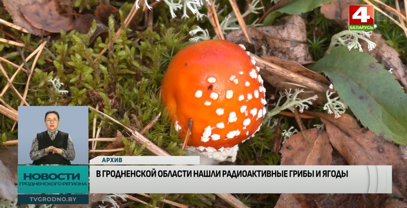 В двух районах Гродненской