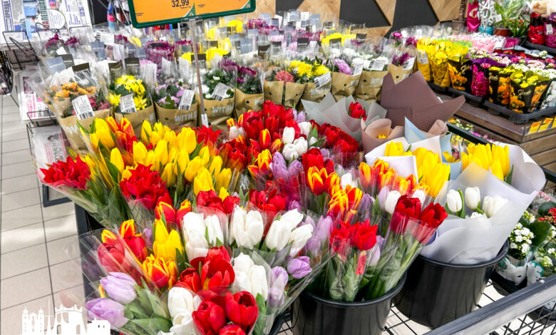 Сколько стоят тюльпаны магазинах Гродно?
