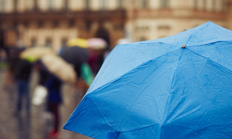 Дожди не отступают