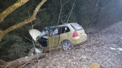 Под Щучином легковушка вылетела в дерево: водитель в коме