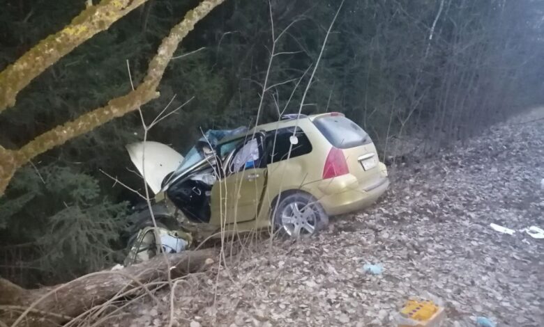 Под Щучином легковушка вылетела в дерево: водитель в коме