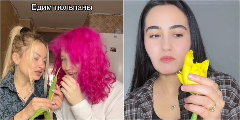 Пользовательницы TikTok