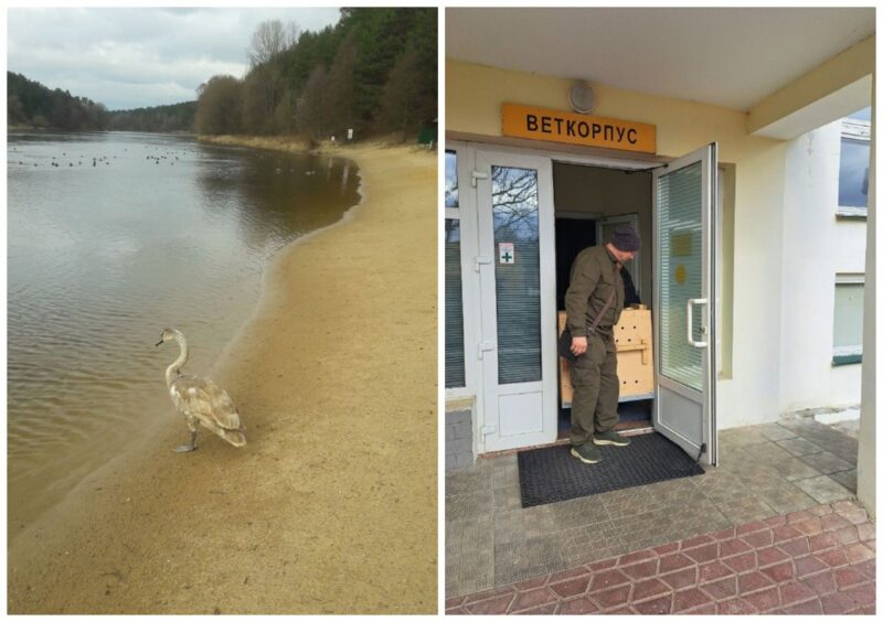 Как в Гродненском зоопарке