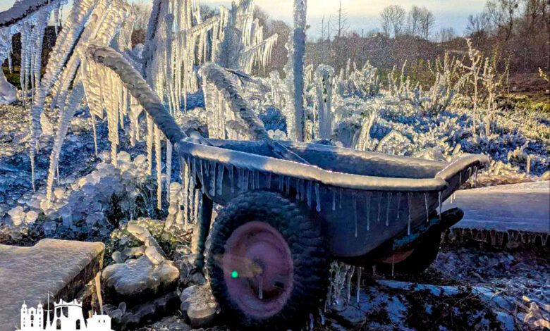 На одном из участков под Гродно