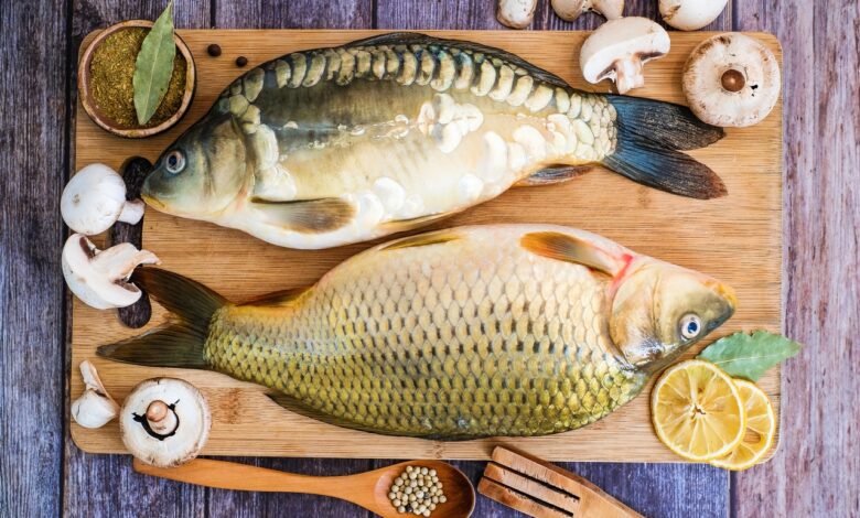 В Гродненской области назвали самую популярную рыбу