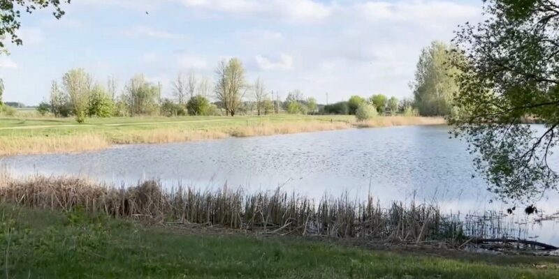 Белорус тонул в водоеме