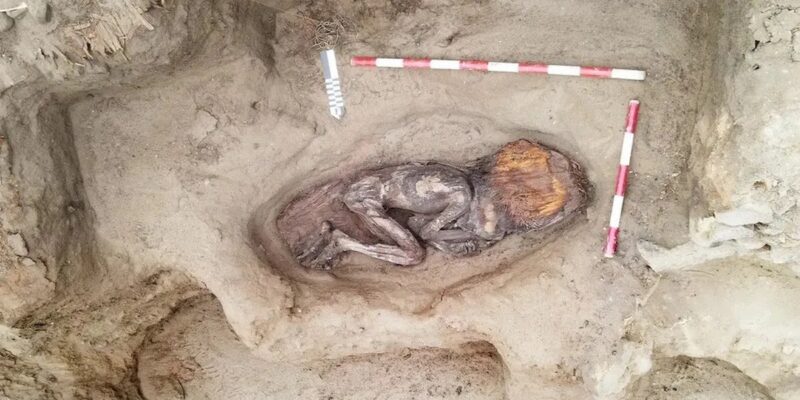 Археологи обнаружили редкие останки