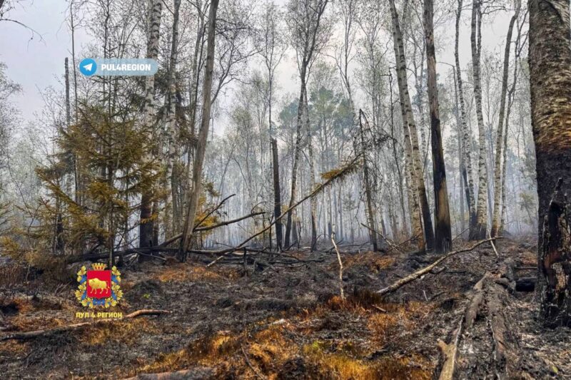 более 120 человек тушили