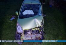 Под Сморгонью легковушка вылетела в дерево