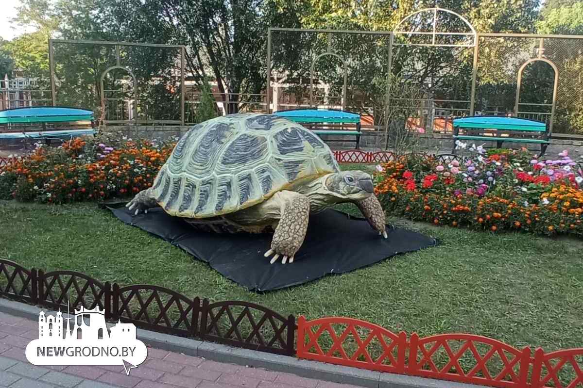 Гродненец слепил скульптуры оленей