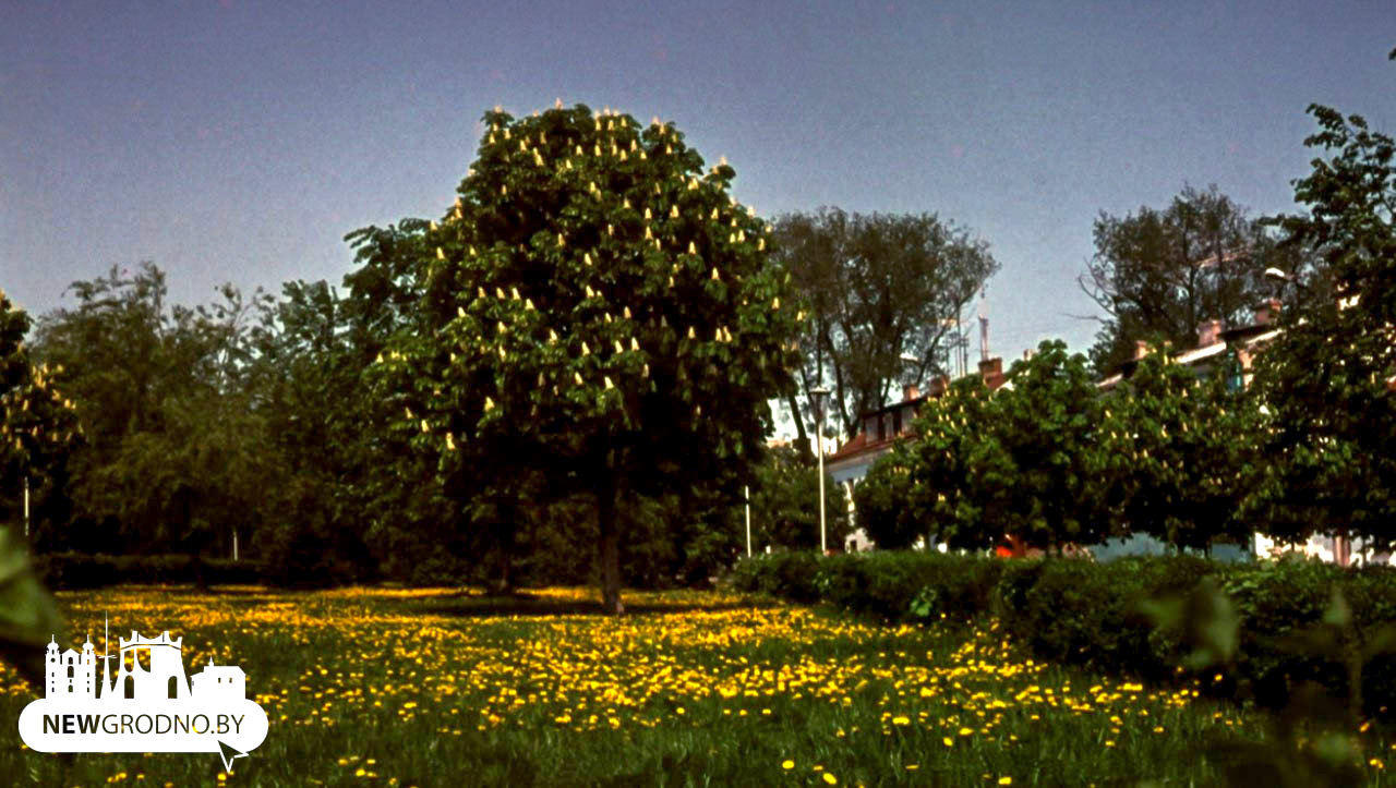 Смотрим на старые фотографии Гродно