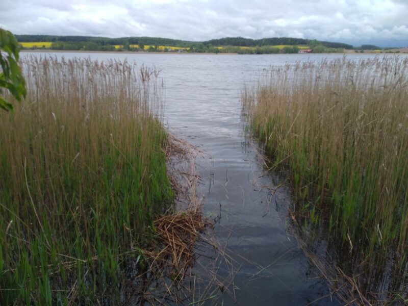 На Зельвенском водохранилище