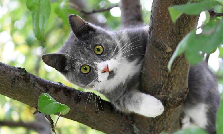 «Сидела трое суток»