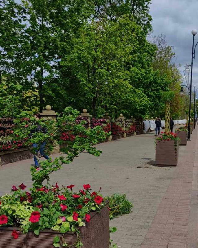 в Гродно появились новые