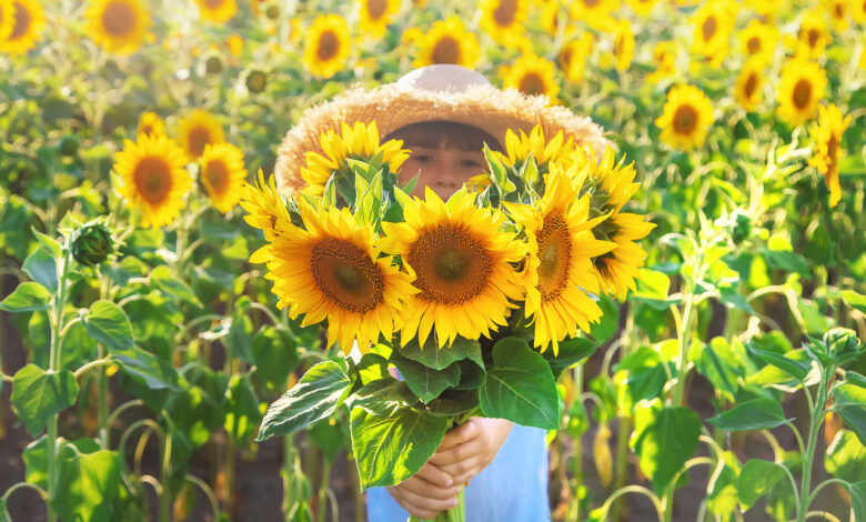 Настоящее лето в Беларуси
