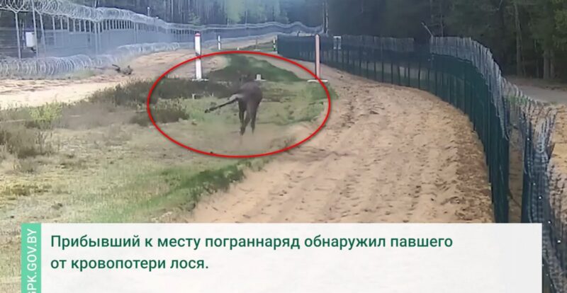 Сморгонские пограничники