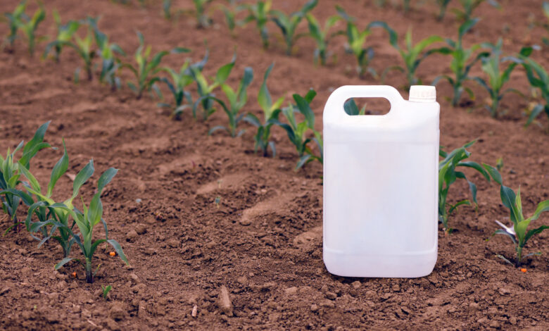 На рынке "Ольшанка" в Гродно продавали