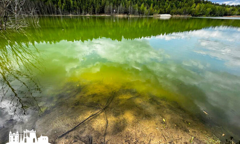 Карьеры в Гродно очистили от плавающего
