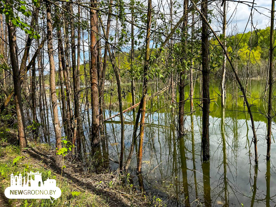 Карьеры в Гродно очистили от плавающего