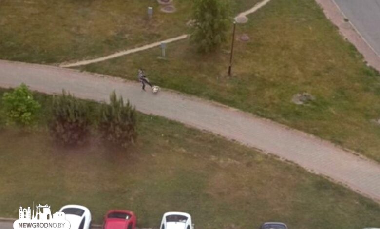 В центре жилого района в Гродно