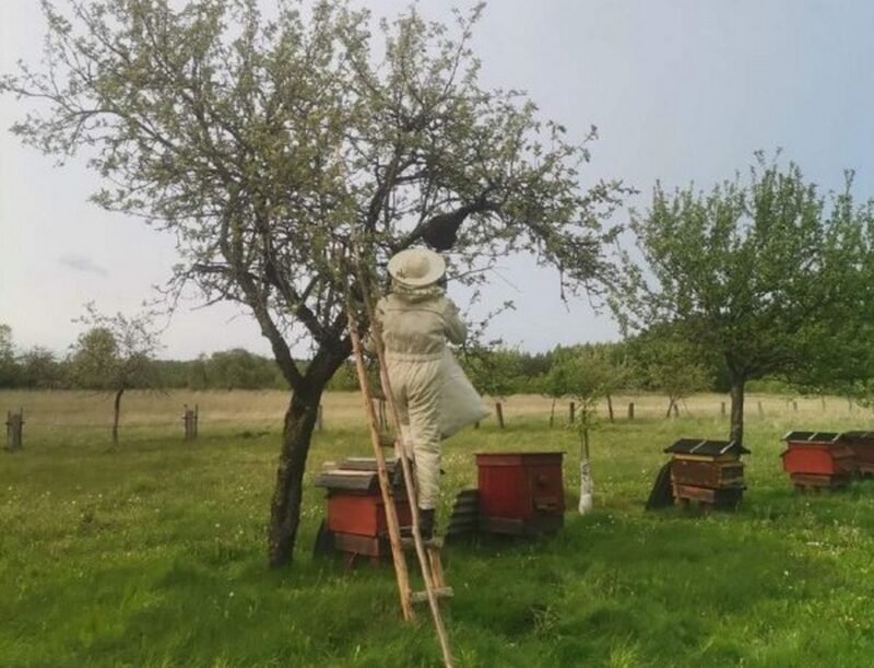 под Вороново