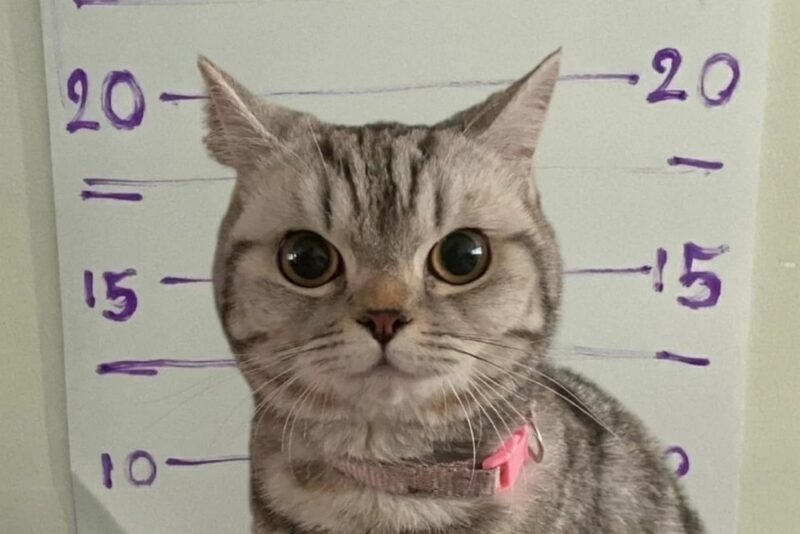 В Таиланде