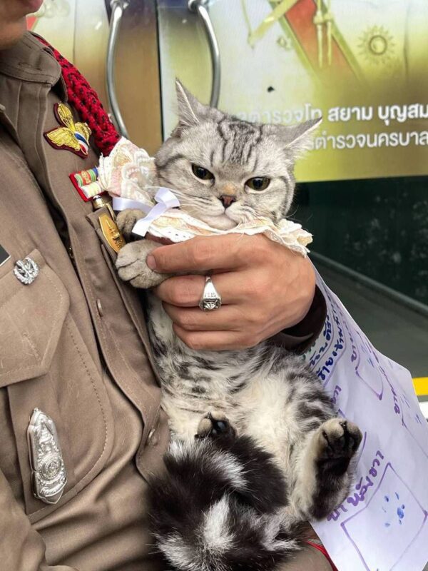 В Таиланде