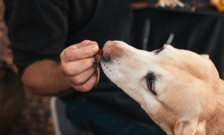 В портмоне пассажира поезда "Санкт-Петербург-Гродно" нашли гашиш
