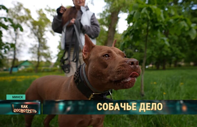 существуют ли