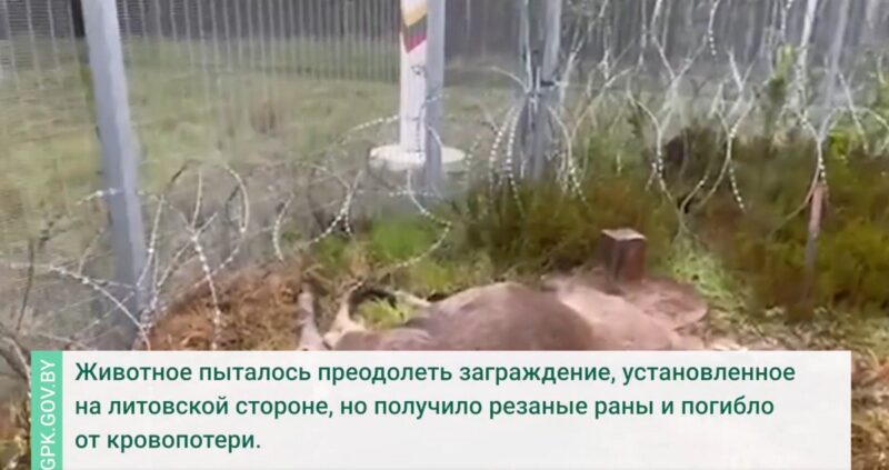 на границе Беларуси